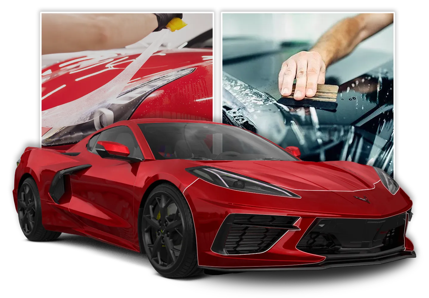 rl-demo-site-image-PPF-header