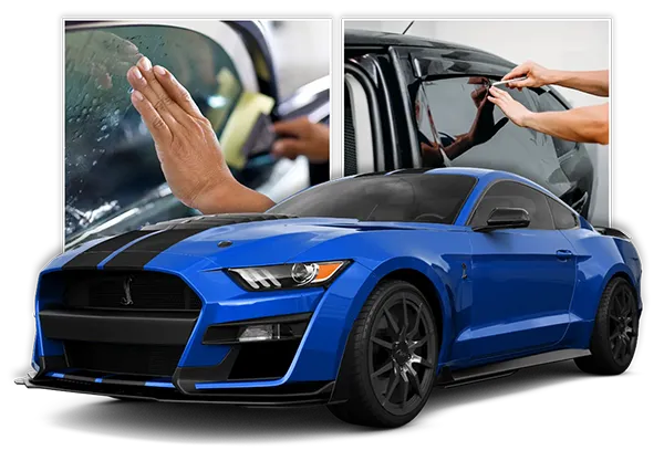 rl-demo-site-image-window-tint-header